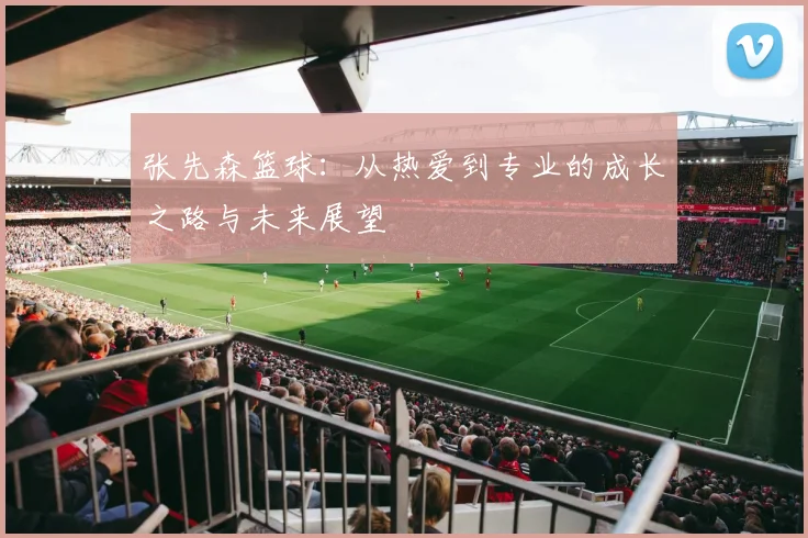 张先森篮球：从热爱到专业的成长之路与未来展望