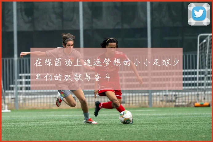 在绿茵场上追逐梦想的小小足球少年们的欢歌与奋斗