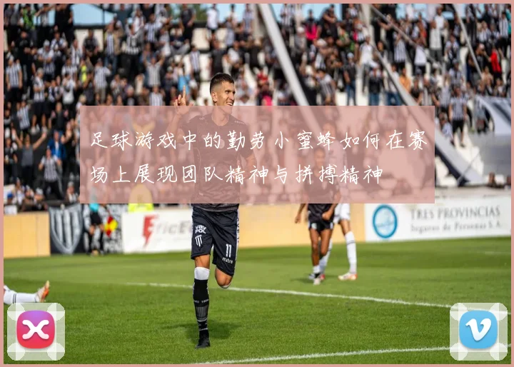 足球游戏中的勤劳小蜜蜂如何在赛场上展现团队精神与拼搏精神