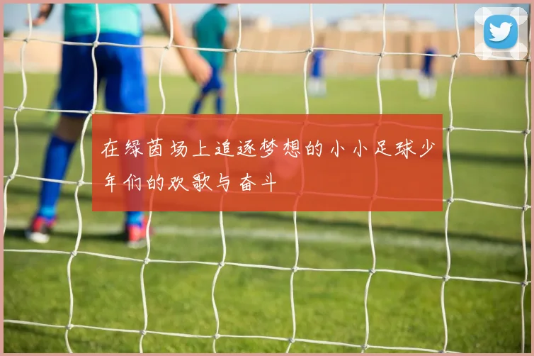 在绿茵场上追逐梦想的小小足球少年们的欢歌与奋斗