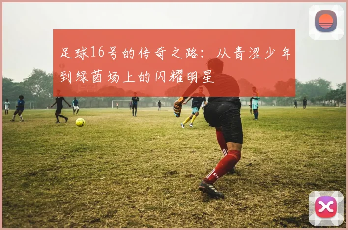 足球16号的传奇之路：从青涩少年到绿茵场上的闪耀明星